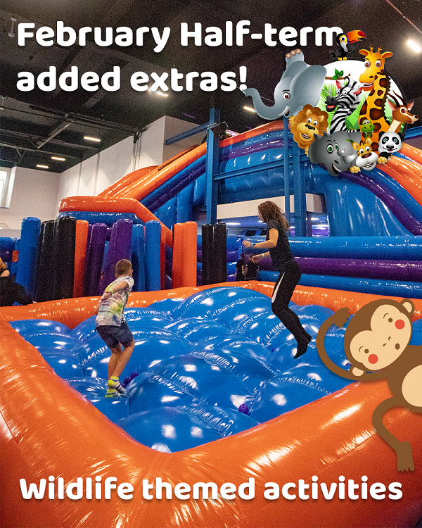 Image of Inflatable Arena at inflata Nation